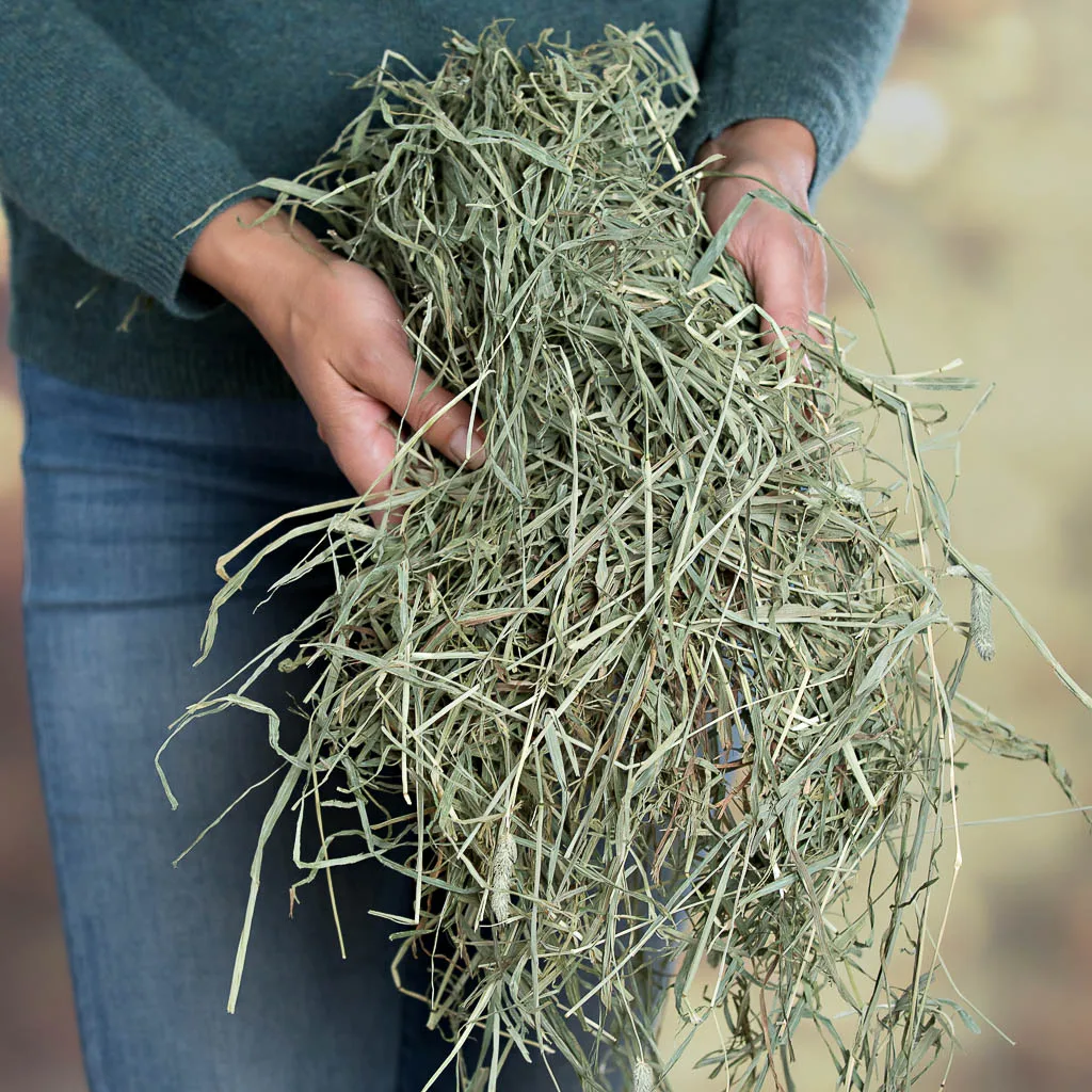 
Perfect for rabbits, guinea pigs, and chinchillas Timothy Hay for small animal 