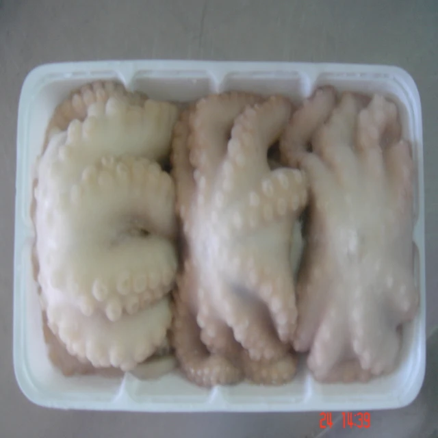 
Frozen Baby Octopus/Baby Octopus in Viet Nam- good quality 