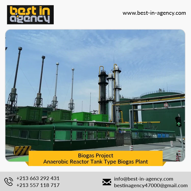 Biogas Project 20000 Nm3/Day Production Anaerobic Reactor Tank Type Biogas Plant Under EPC Mode