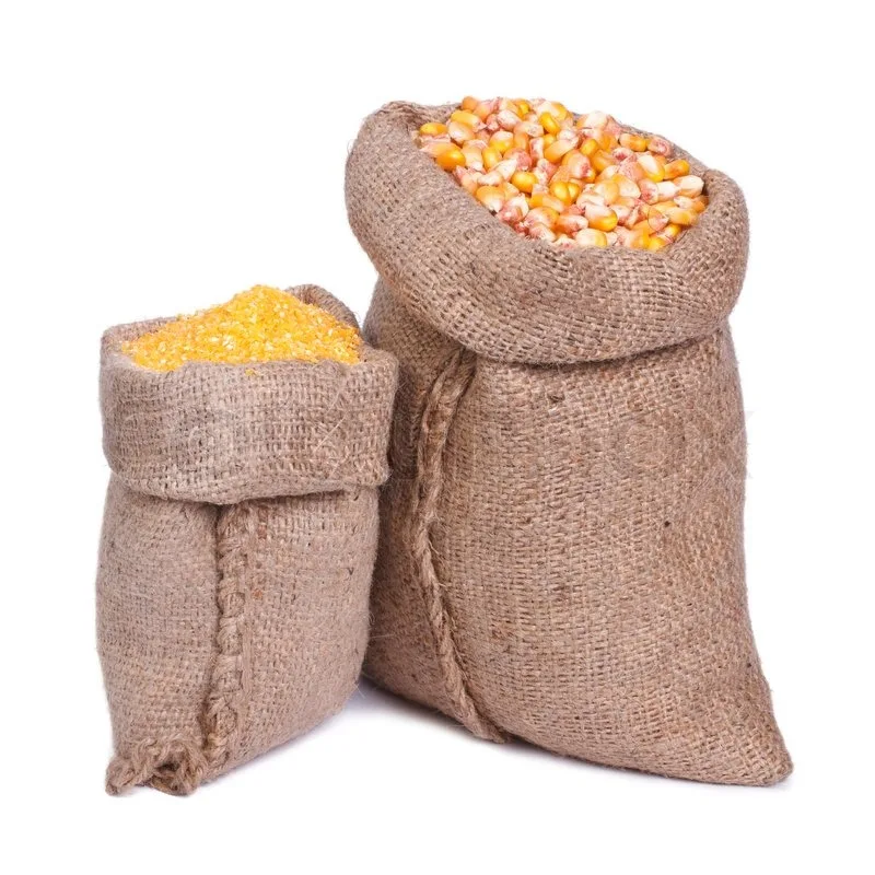 Non GMO Top quality Dried Yellow Corn - Maize Dry For Animal Feed