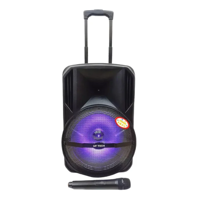 Новая технология 12 дюймов перезаряжаемая Беспроводная портативная акустическая система с цифровым дисплеем легко носить