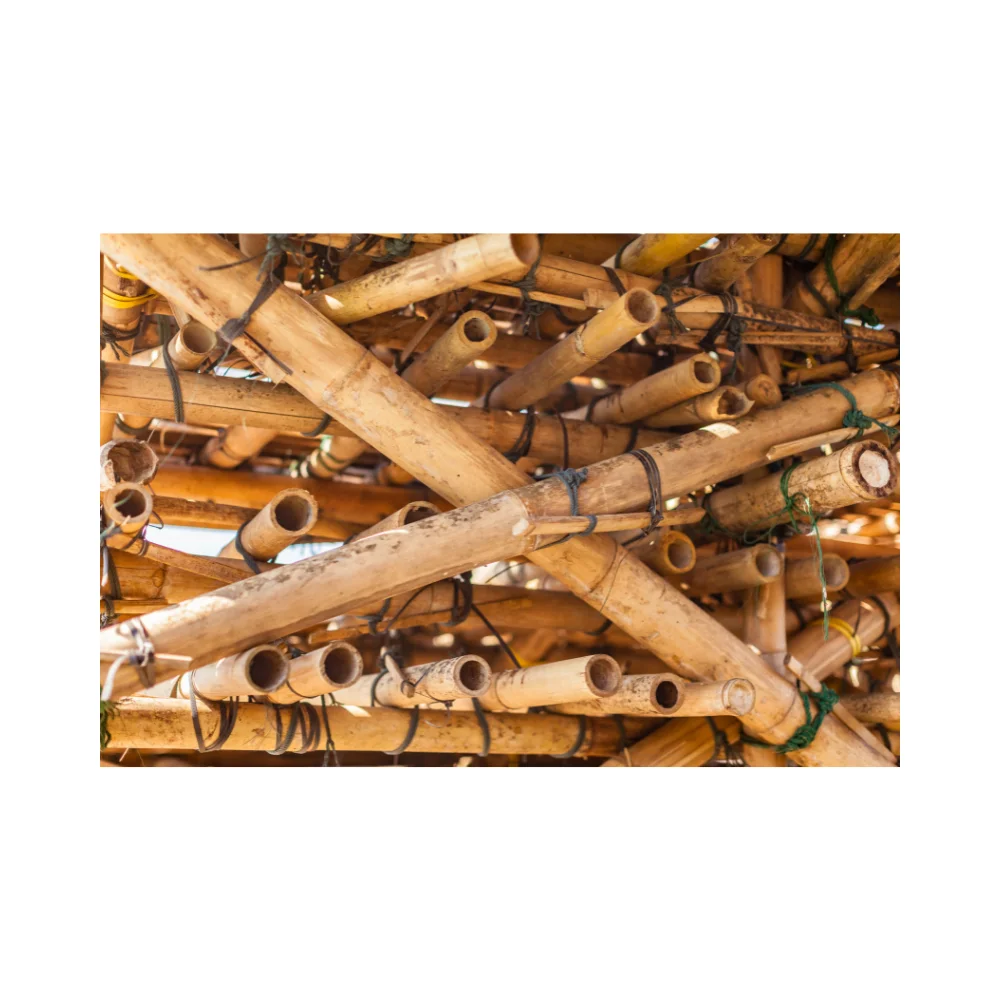 Прочные и универсальные бамбуковые трости палочки