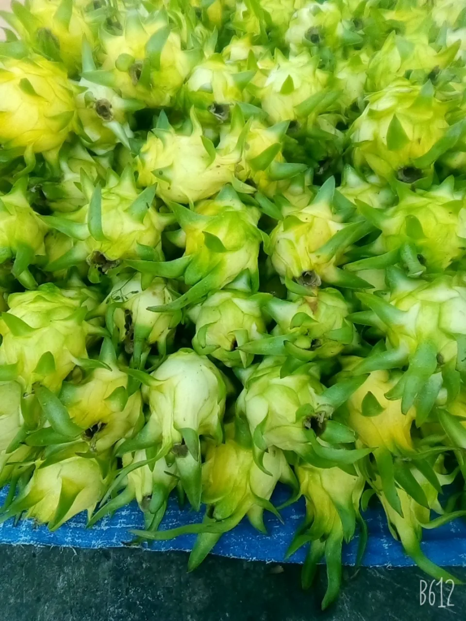 Yellow Skin Dragon Fruit Cheap Price Low MOQ Hot Selling Top Grade 2021 Best Quality Brand Supplier From Vietnam