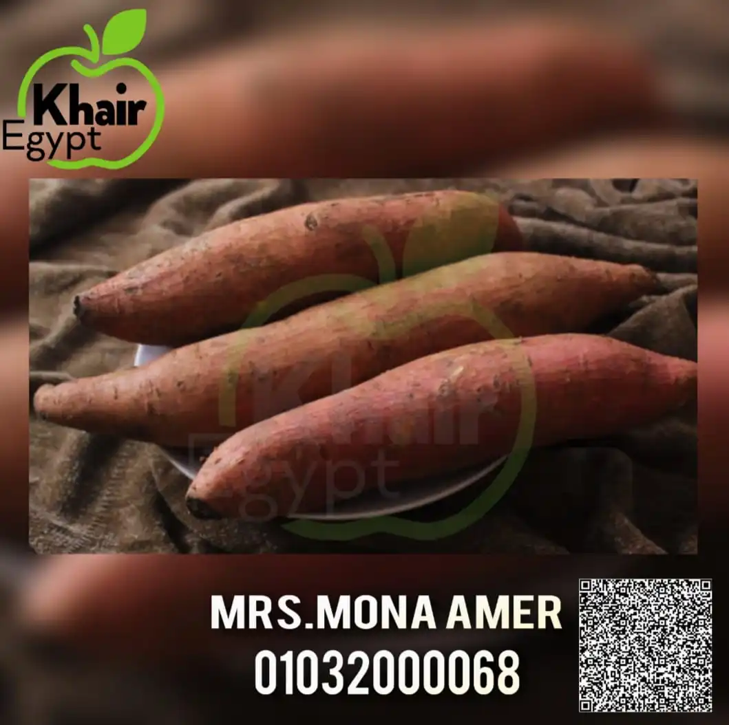 Разнообразный сладкий картофель доступен для экспорта по более низкой цене