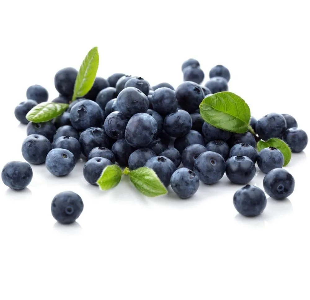 Top quality sweet fresh frozen blueberries
