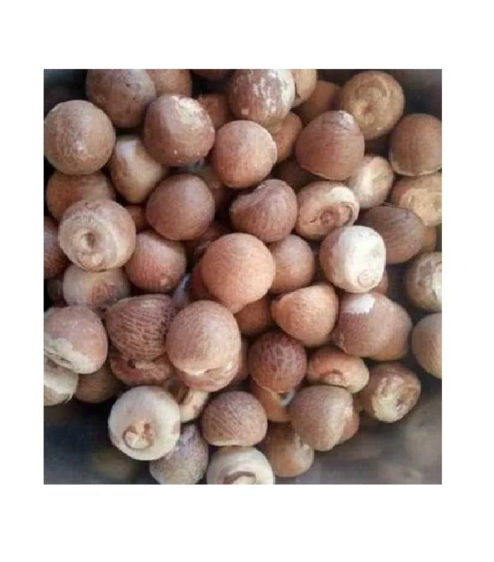  BETEL NUT HALF CUT/сушеный SUPARI/нарезанный из Вьетнама (Жасмин: + 84 37 461