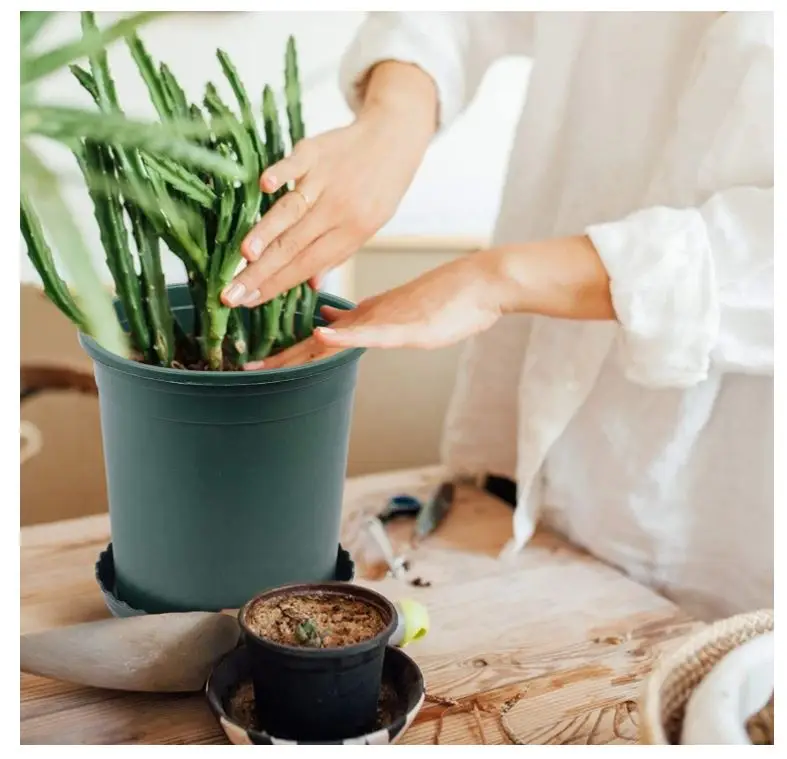 Best Sale Durable Plastic Plant Nursery Pots Colorful With Drainage Hole and Saucer For Gardening Decoration Cheap Price