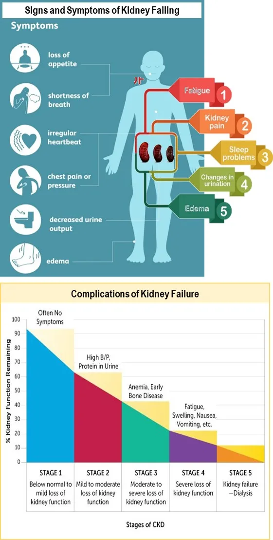 Комплекс иммунного регулирования высокой мощности иммунный регулятор иммунная капсула для автоматического иммунитета и