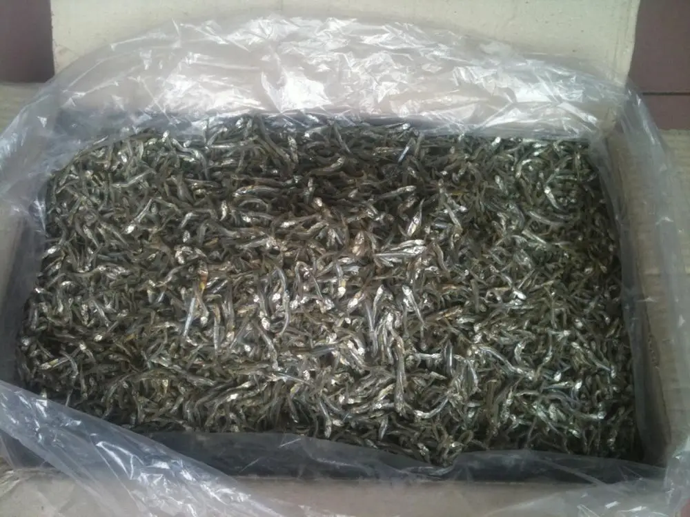 Dried Salted Anchovy high quality cheap price packing various type from Vietnam
