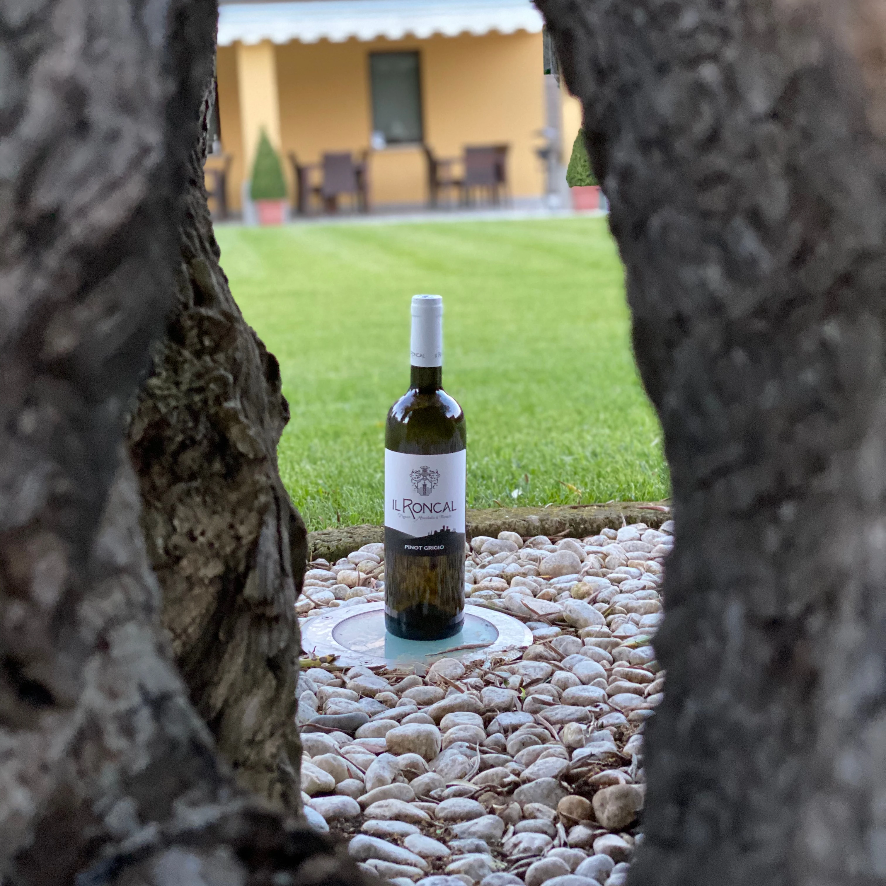 Best made in italy quality 0,75 l white wine for rice, pasta dishes PINOT GRIGIO