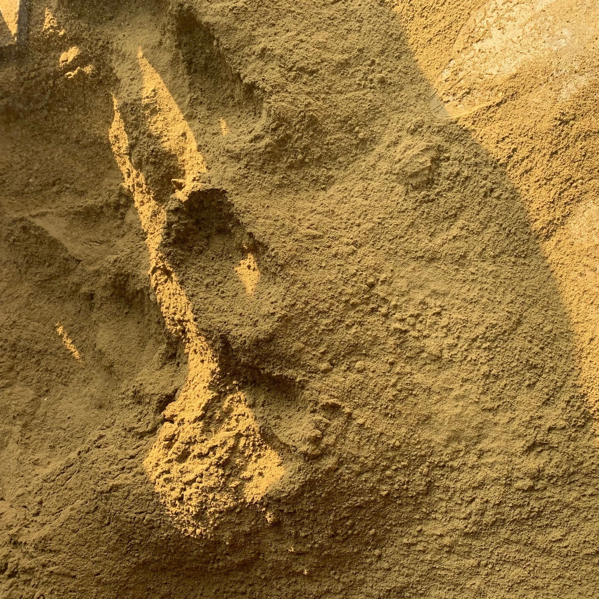 
Wholesale Price Fish Meal 