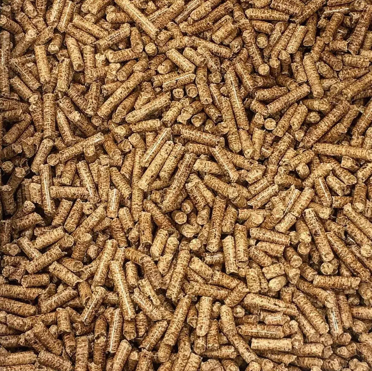 Hot Selling European Standard Wood Pellets