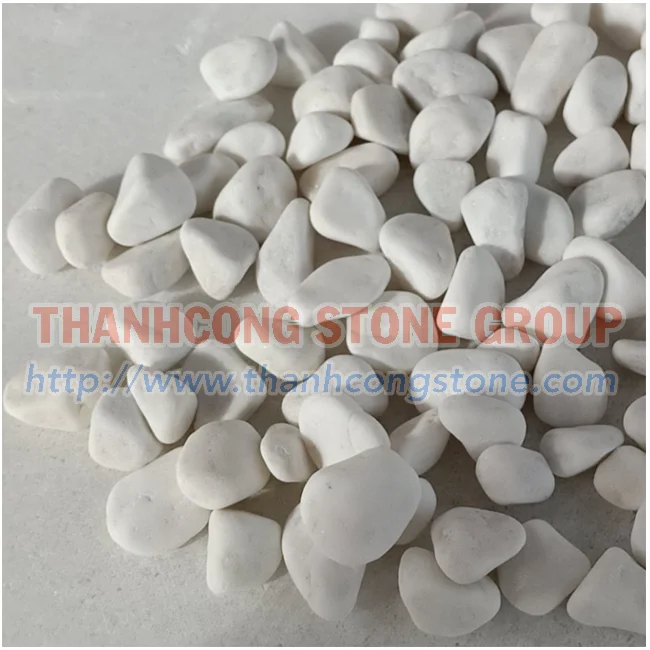 Milky White Pebble Stone High Quality Made In Viet Nam Thanh Cong Brand