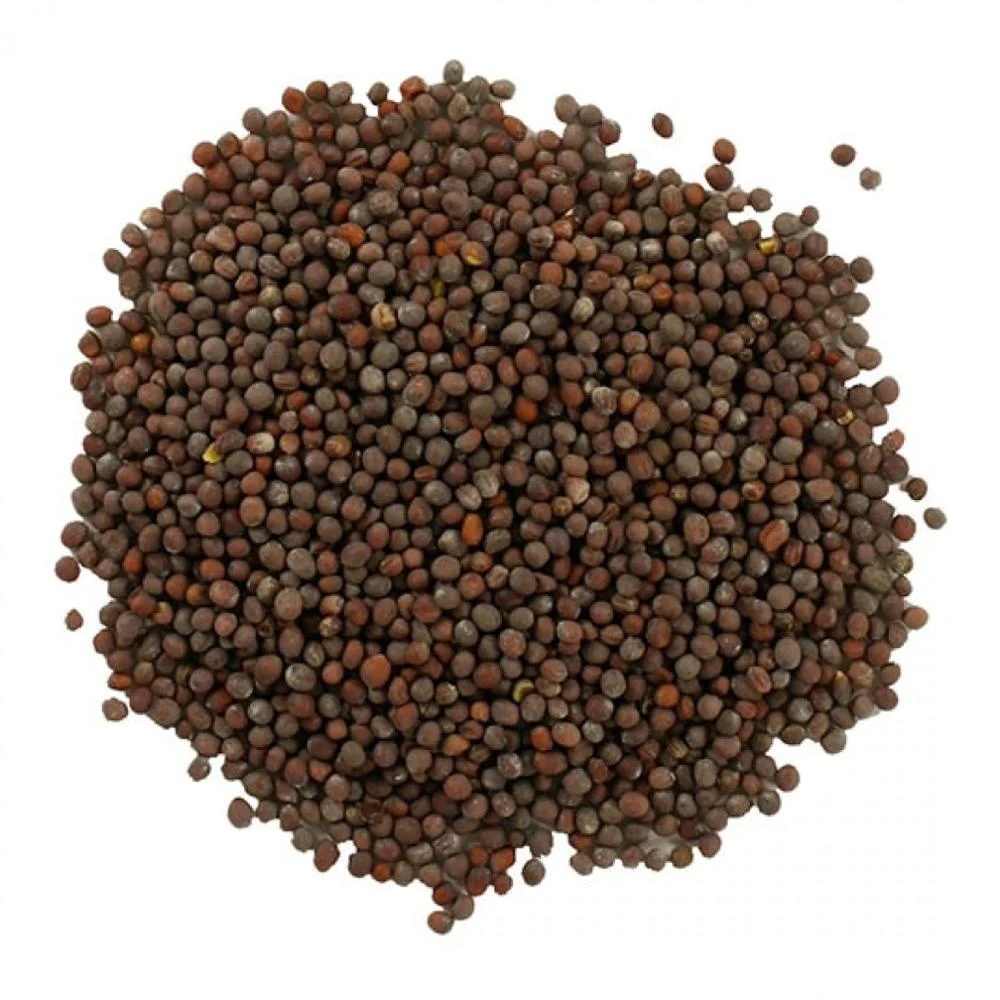 
Extra Quality Yellow Mustard Seeds and Black Mustard Seeds For Sale 