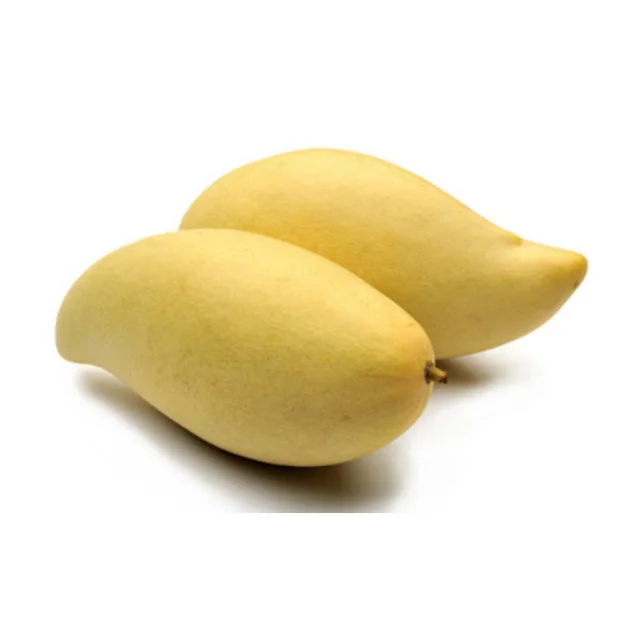 Свежие сладкие манго 100% высокого качества-таиландское происхождения премиум класса (Namdokmai сладкое прямо с фермы)