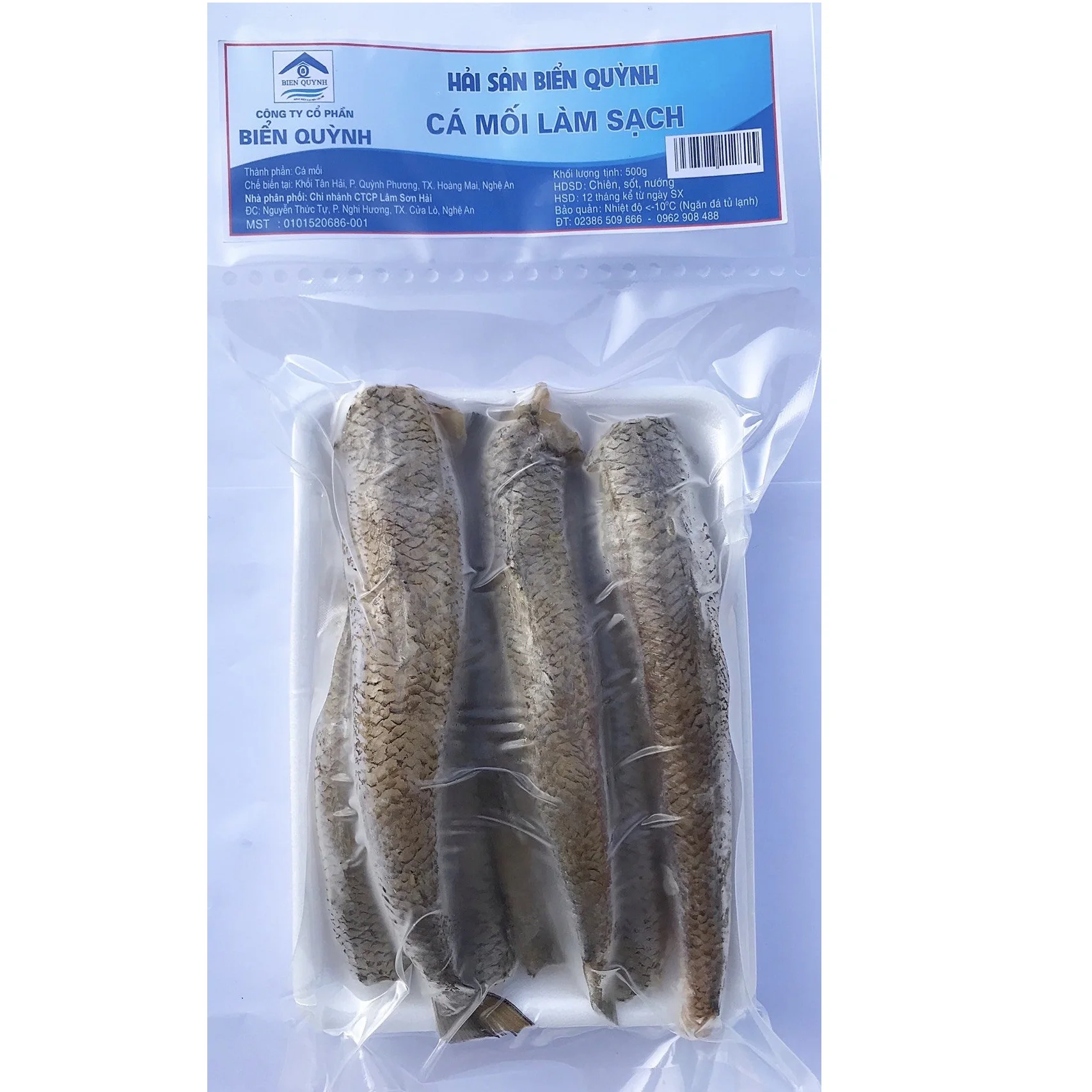 High Quality Common OCOP Air-dried 12 Months Natural Body Cleaned Lizard Fish with Vacuum Packaging From Vietnam For Sale