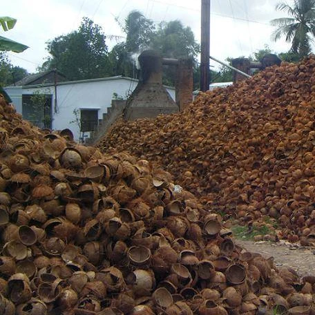 100% сырые кокосовые скорлупы по лучшей цене для приготовления древесного угля (62011283004)