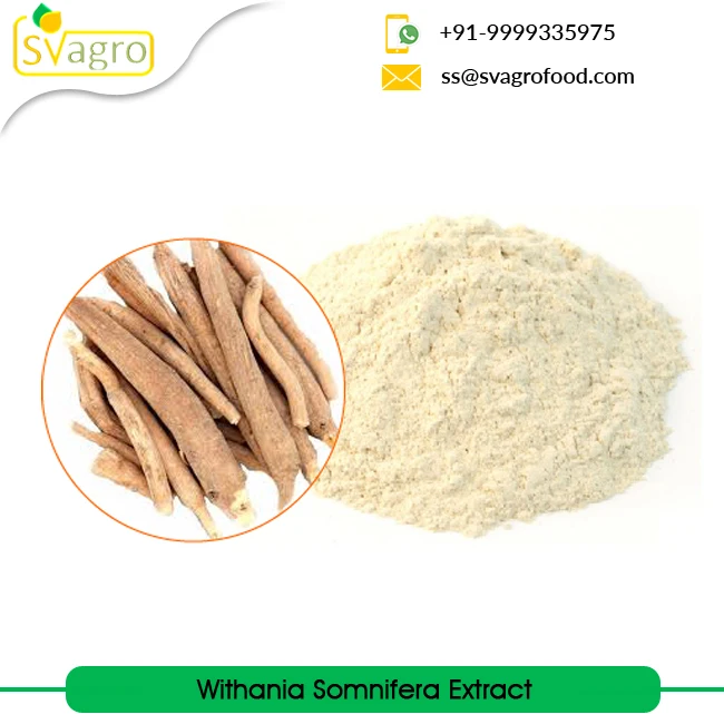 Withania Somnifera Extract Ashwagandha Extract at Wholesale Price Manufacturing Herbal Extract from India Root Powder Food 25 Kg