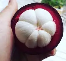 Top quality mangosteen in Vietnam/ Whatsapp : +84 896679047