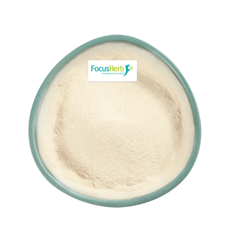 
Focusherb Soybean Protein White to Light Yellow Powder Food Additive Soy Protein>90% Isolated Soy Protein 