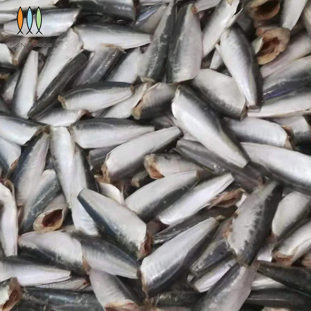 Vietnam Scad Fish BLOCK Frozen Seasonal Decapterus Maruadsi Round Scad HGT with 5-7cm 7-9cm 9-11cm Size