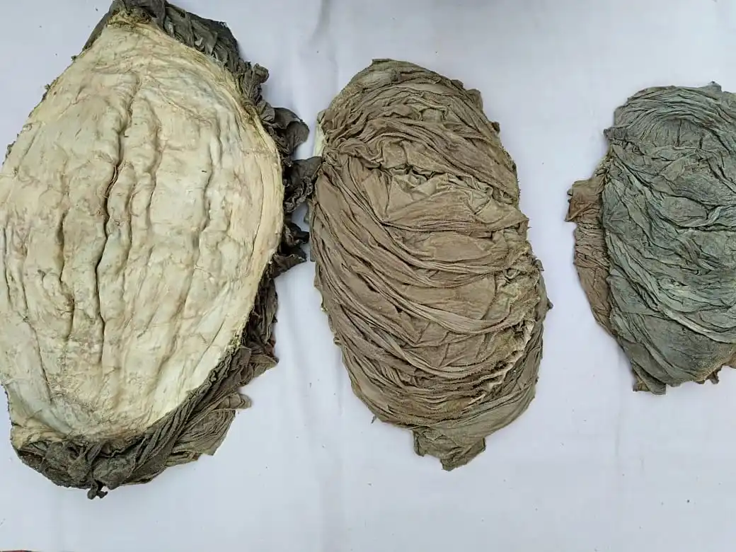 WHOLESALE RATES 2021 BEEF OMASUM