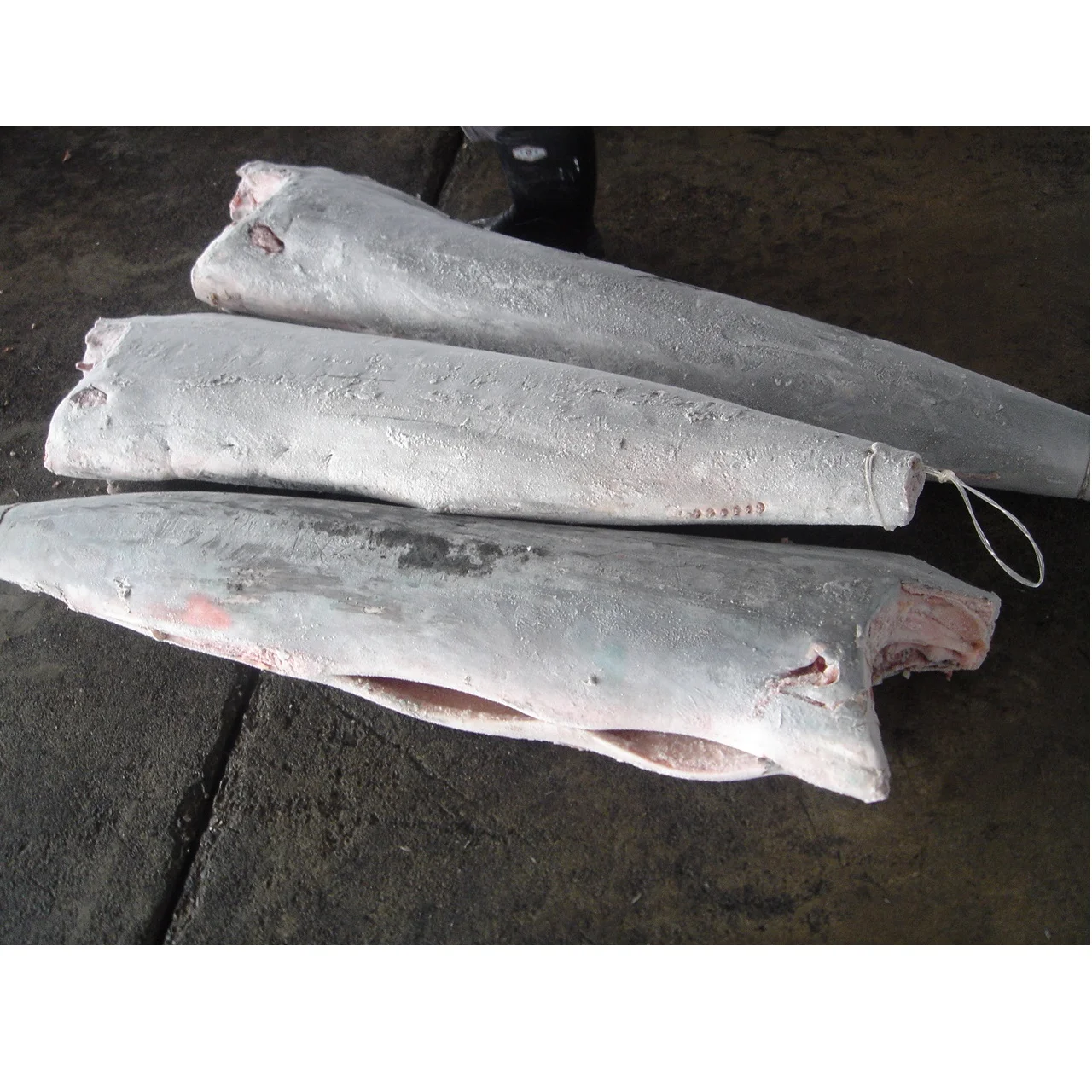 ISO GMP HACCP Certified 20KG Low-Fat Low-Sodium White Marlin from Ivory Coast Nutritious Frozen Fish