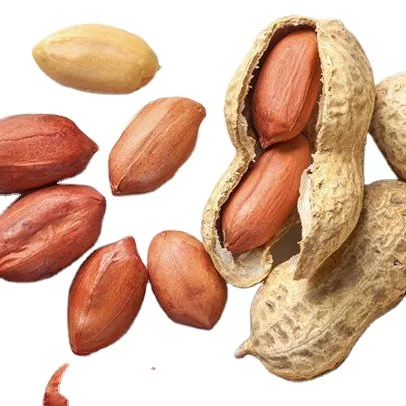 Raw Peanuts peanut Roasted Ground nuts