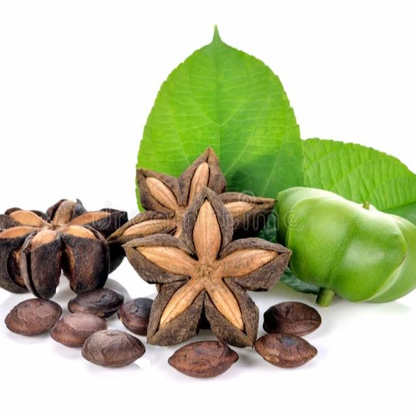 Top selling  Export Agricultural Products Nut & Kernel Snacks dried sacha sachi/ sacha inchi made in Vietnam 2021