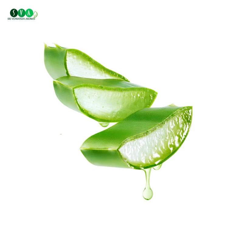 Wholesale 100% Pure Natural Organic Aloe Vera Oil from Indian Manufacturer