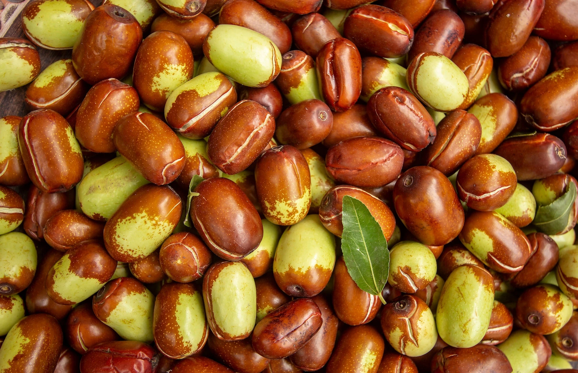 Jojoba Nuts.jpg
