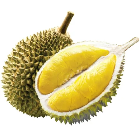 IQF FROZEN DURIAN RI6 CUBE ORIGIN VIETNAM FROM AN VAN THINH FOOD COMPANY AVTFOOD AVTF AVT / CUBO DE DURIAN RI6 CONGELADO