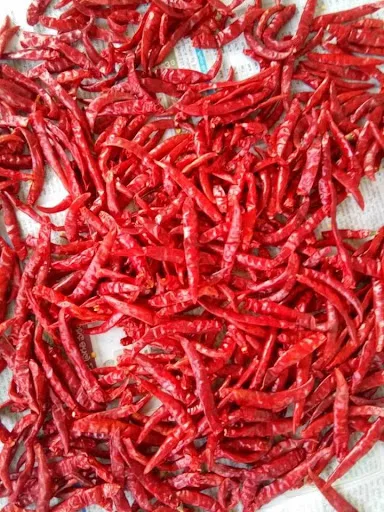 Красный горячий чили перец сухой красный