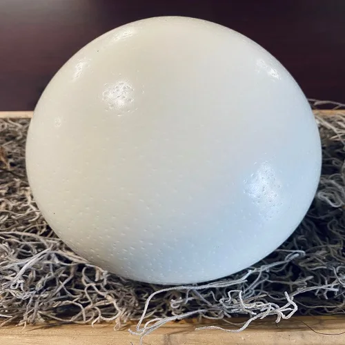 Недорогая цена 99% инкубационные страусиные яйца оптом