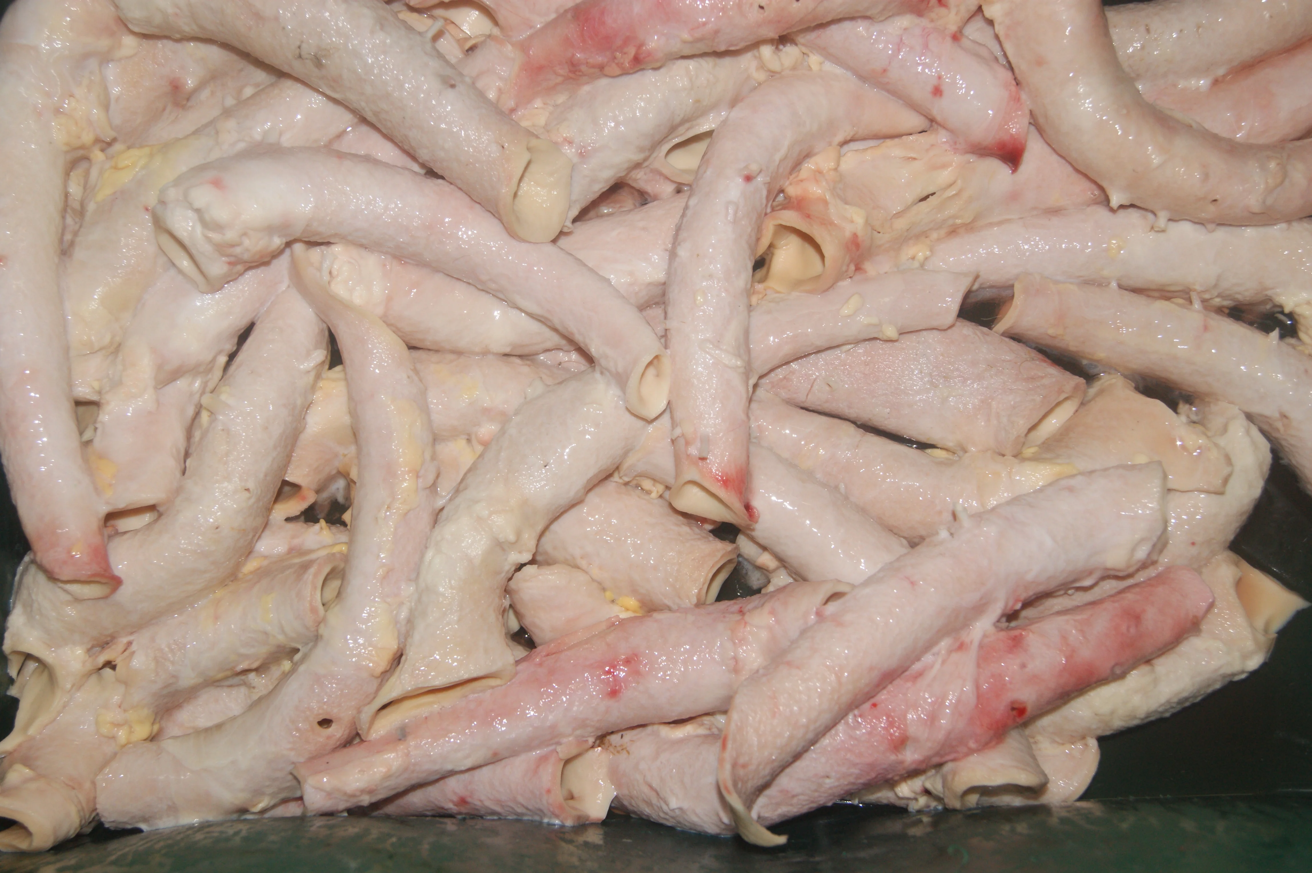 Свежая обработка говядины AORTA, замороженная говядина AORTA, высокое качество, происхождение, черная говядина