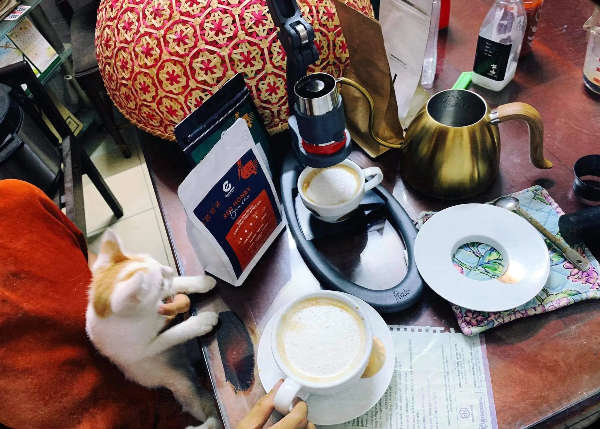 Roasted Robusta Coffee High Quality Robusta Full City Dark Roast brew coffee bags ready to ship Viet Coffee brand