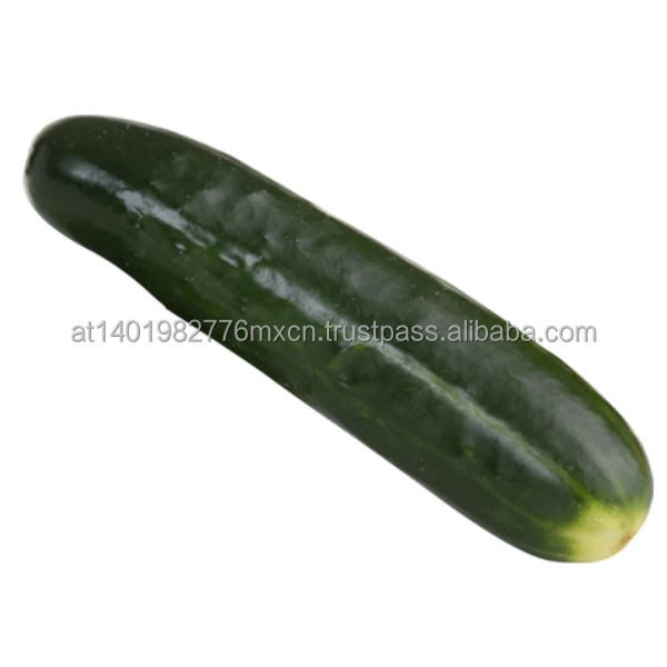 Cucumber-Resized.jpg