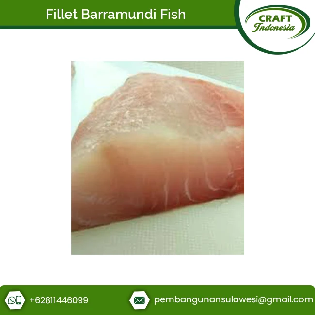 Wholesale Supply Great Taste Seafood Barramundi Fish Frozen Fillet