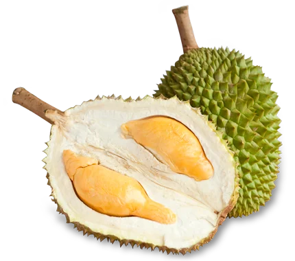 100% Whole Fruit Natural Frozen D13 Durian Products Healthy Snack Food Vegan Premium Quality Fruits In Low Price