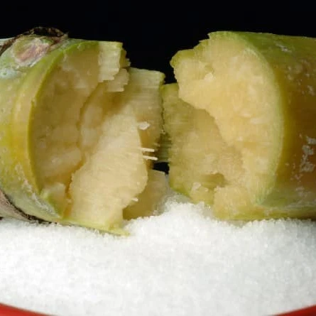 White Refined Sugar Icumsa 150  Raw Brown Cane Sugar Brazil 50kg Packaging Brazilian White Sugar