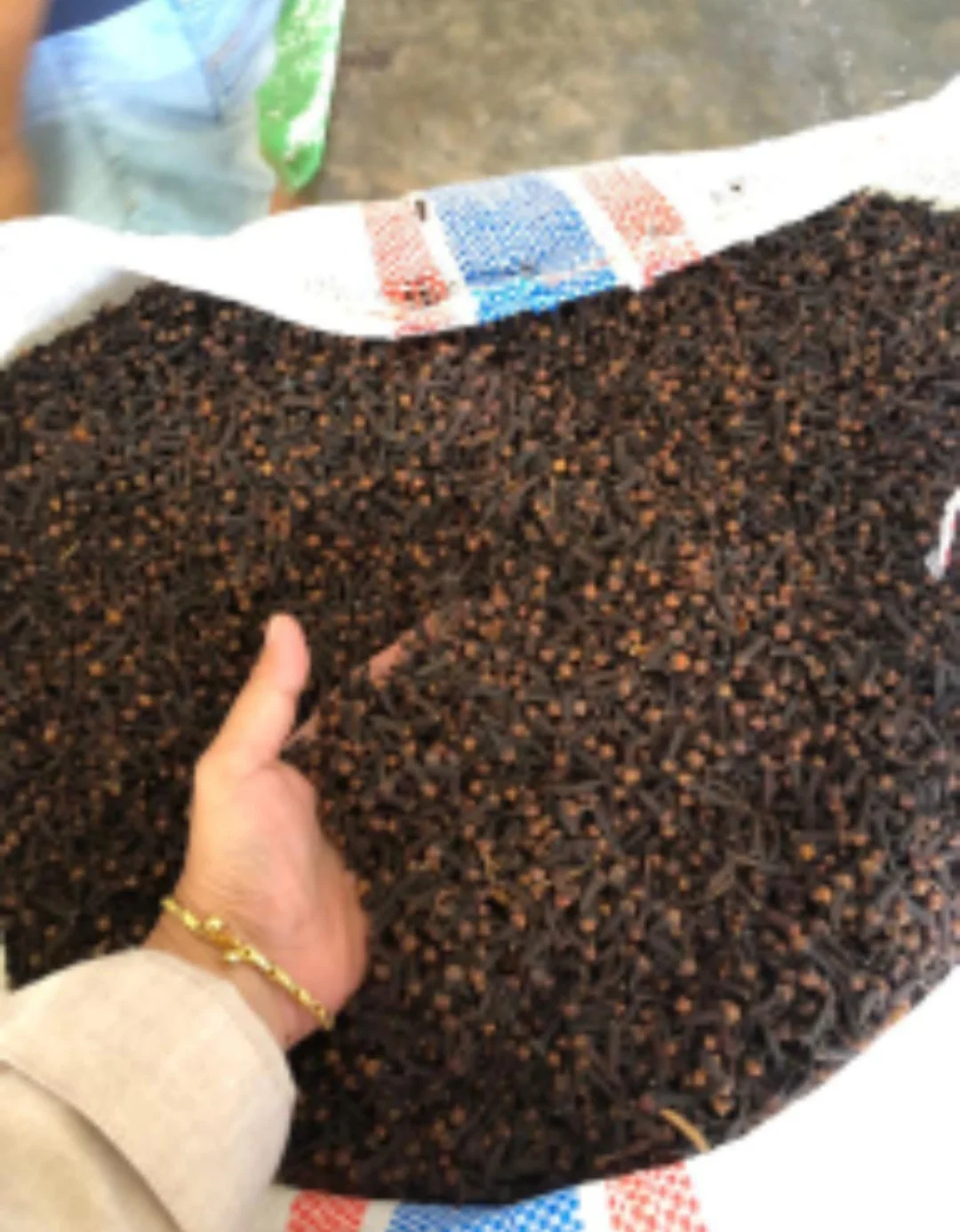 Best Quality Clove Dark Brown AB6 Origin Indonesia