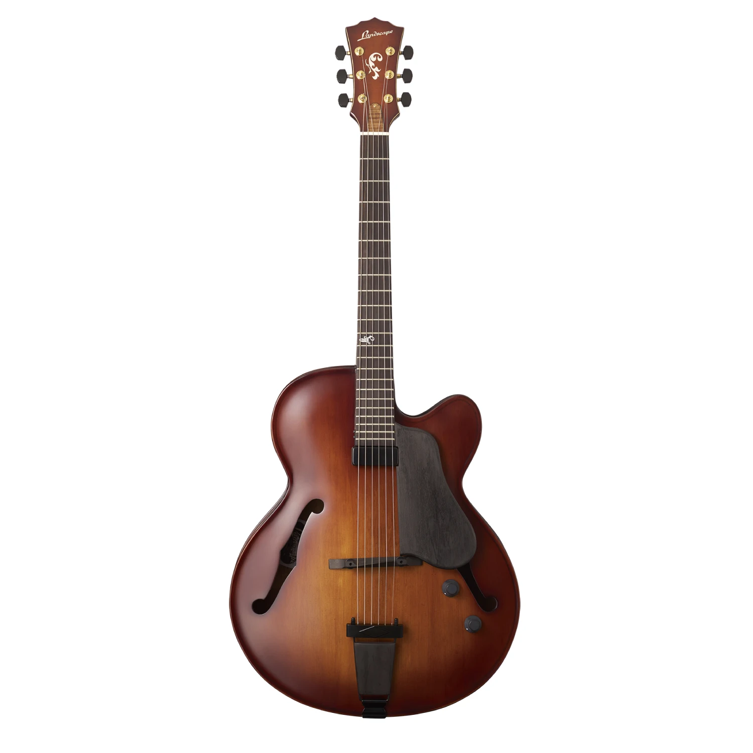 Landscape Japanese electric guitar AR-101