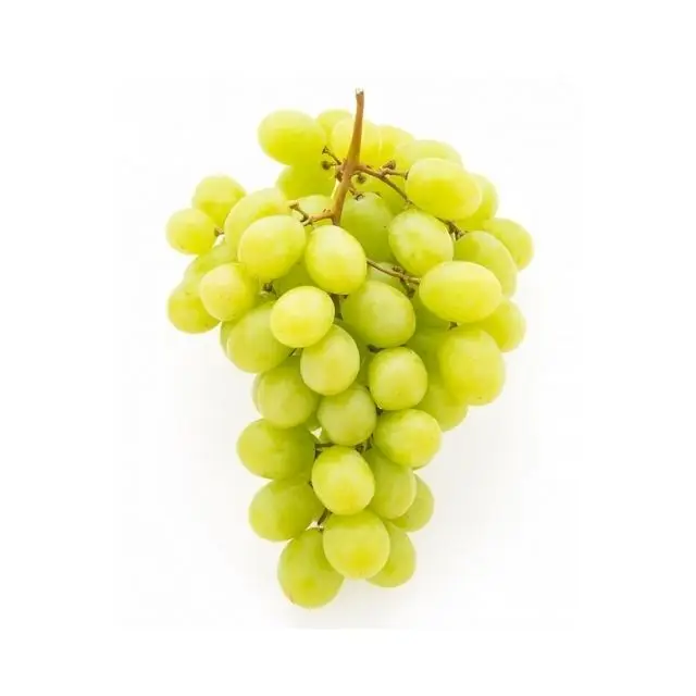 Most selling delicious sweet 95-100% maturity natural class A green Uzbekistan fresh grapes