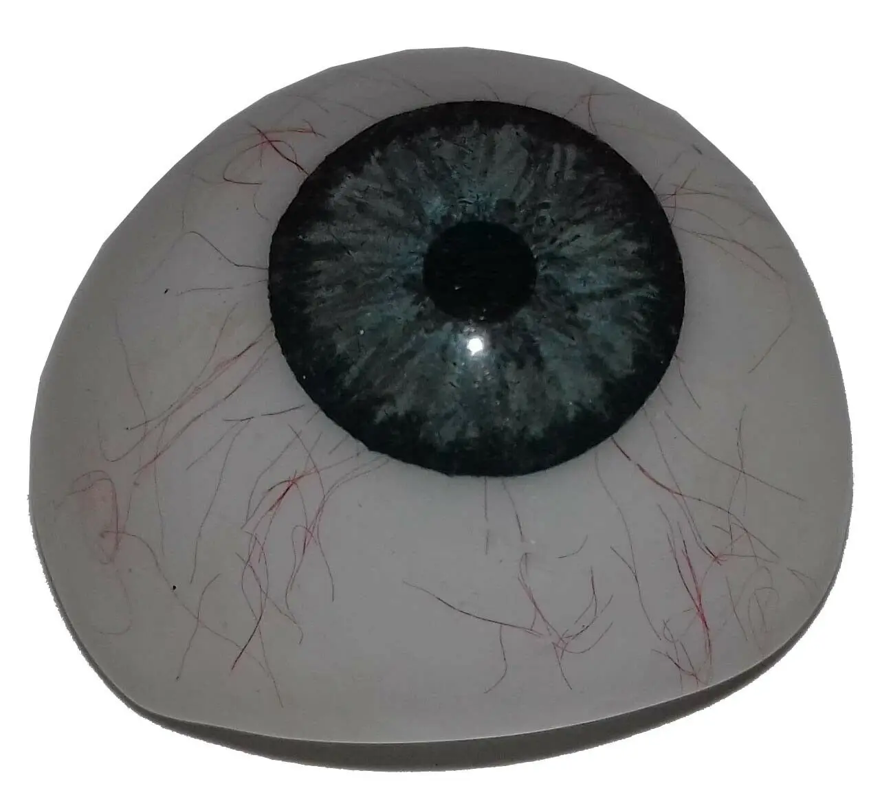 Mars International Manufacturer of genuine  price mix Artificial Prosthetic any-one Eye Superior Quality and price Free shipping