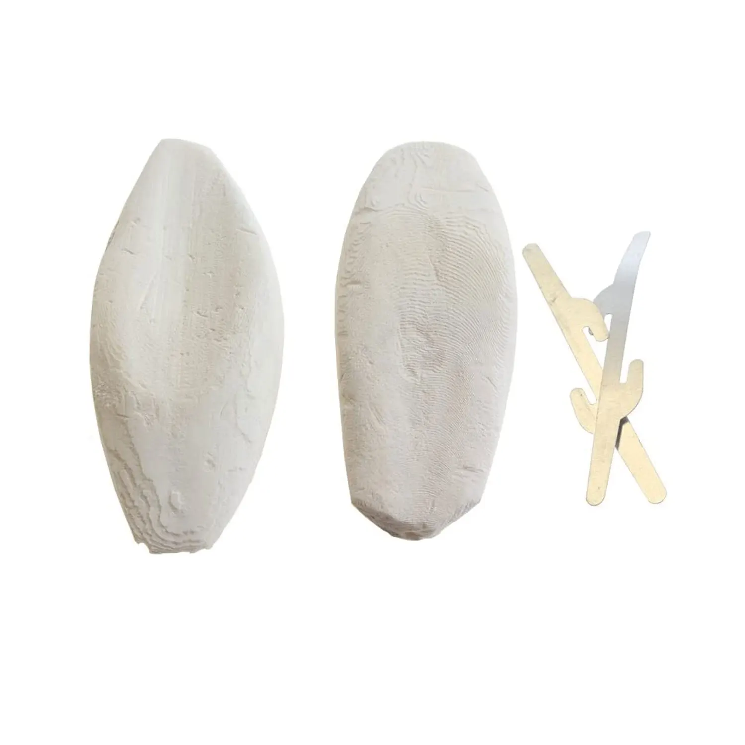 Bulk Cuttle Fish Bone- Cuttlebone Clean For Sale