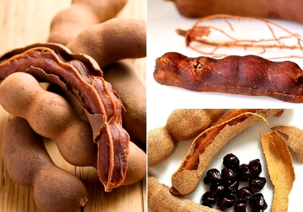 Sour Tamarind Paste Premium Quality tamarind seedless for food and Cosmetics No Chemical Tamarind export Product of Thailand