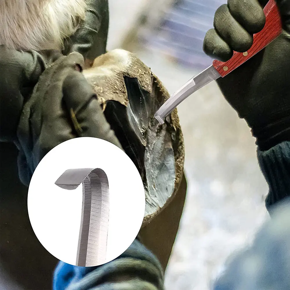 Factory Direct Sale Custom Made Material Top High Quality Farrier Hoof trimming kits | New Design Hoof trimming kits For Sale