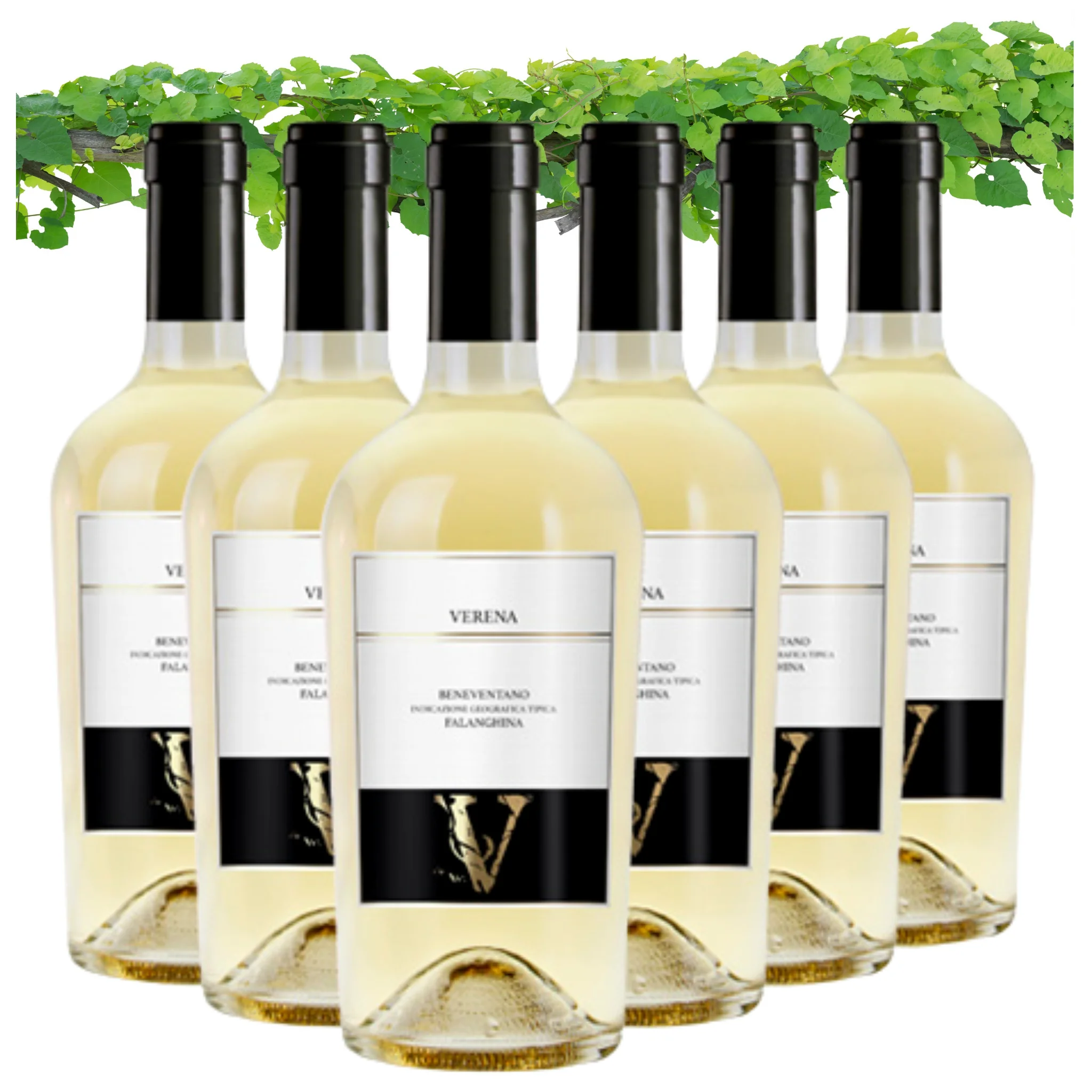 Dropship Italian White Wine - Falanghina Beneventano IGT - White Wine bottles 750 ml alcohol wine 12.5%