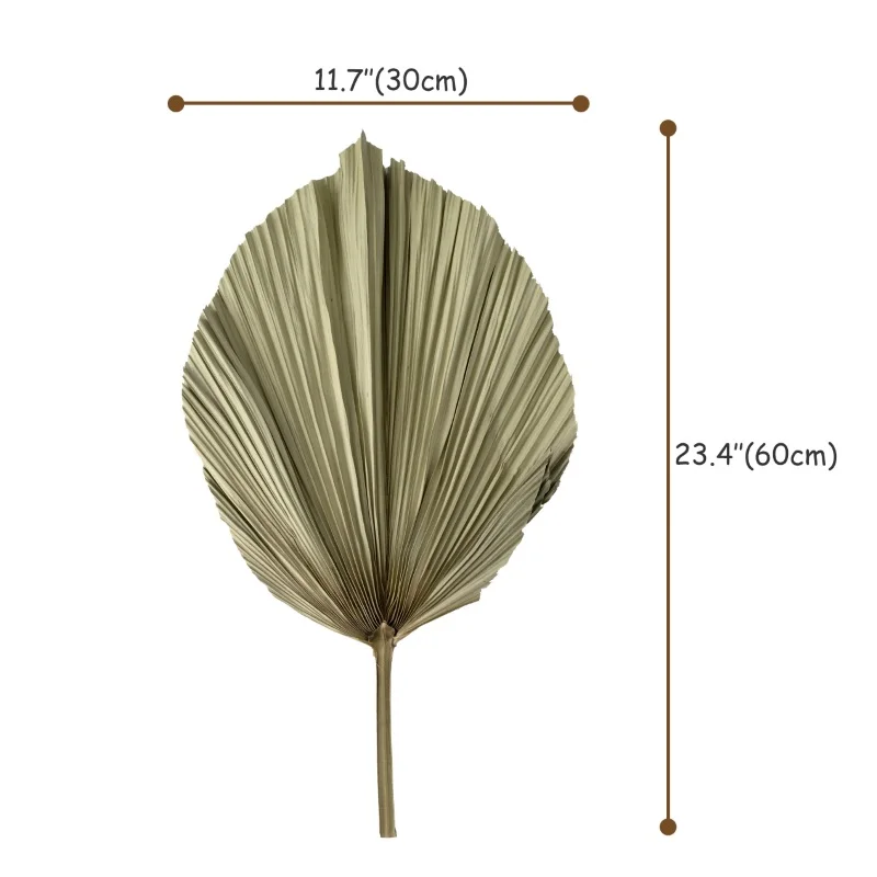 Air Dried Flower Trimmed Fan Palm Leaf For Home Decoration Artificial Flowers Decoration Dried Organic Palm Leaves from Vietnam