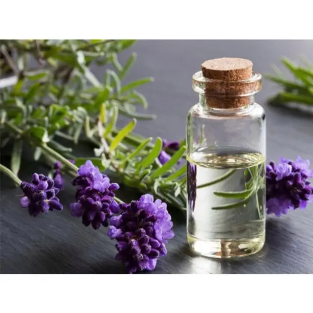 
Best Grade red lavender oil for Anti-aging from India 